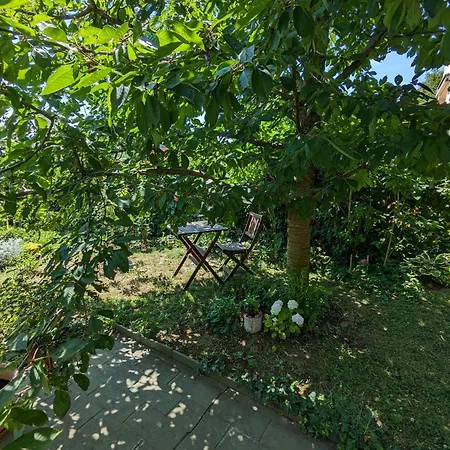 Gabi Haza Holiday home